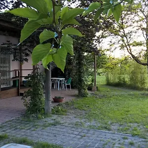 Rose Canine , Cesenatico Italy